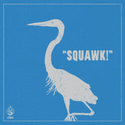 SAVAK "squawk!" LP