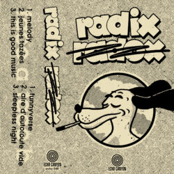 RADIX PARADOX s/t TAPE